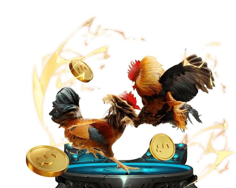 Đá gà trực tuyến tại Ku99 Casino