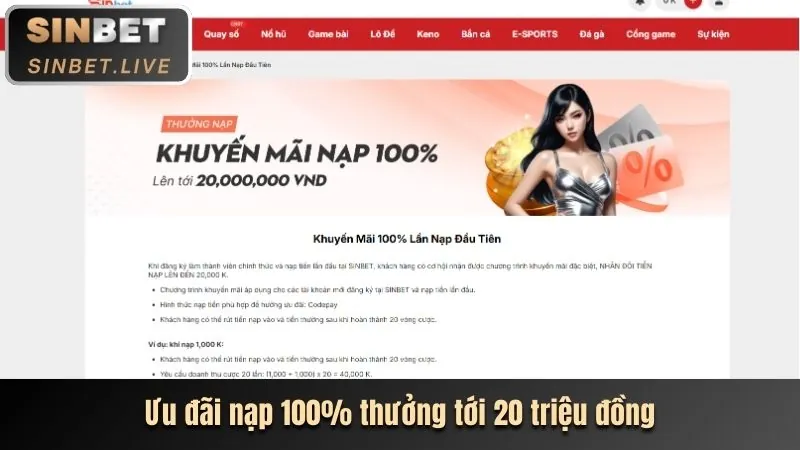 Quyền lợi VIP đặc biệt